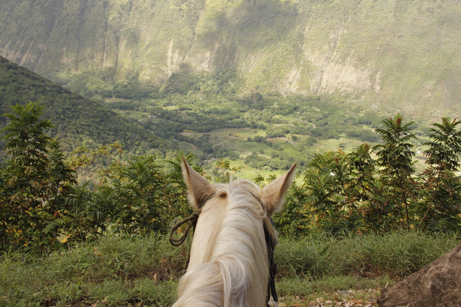 Hawai‘i Island on horseback