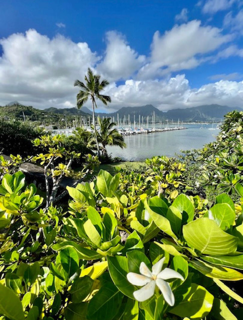 view of yachts in kaneohe bay