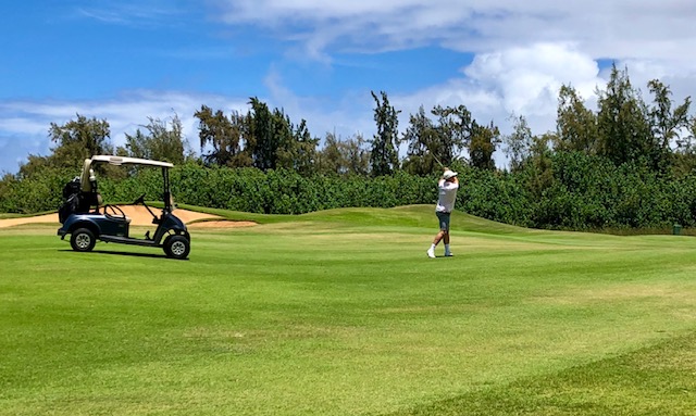golf course near turtle bay