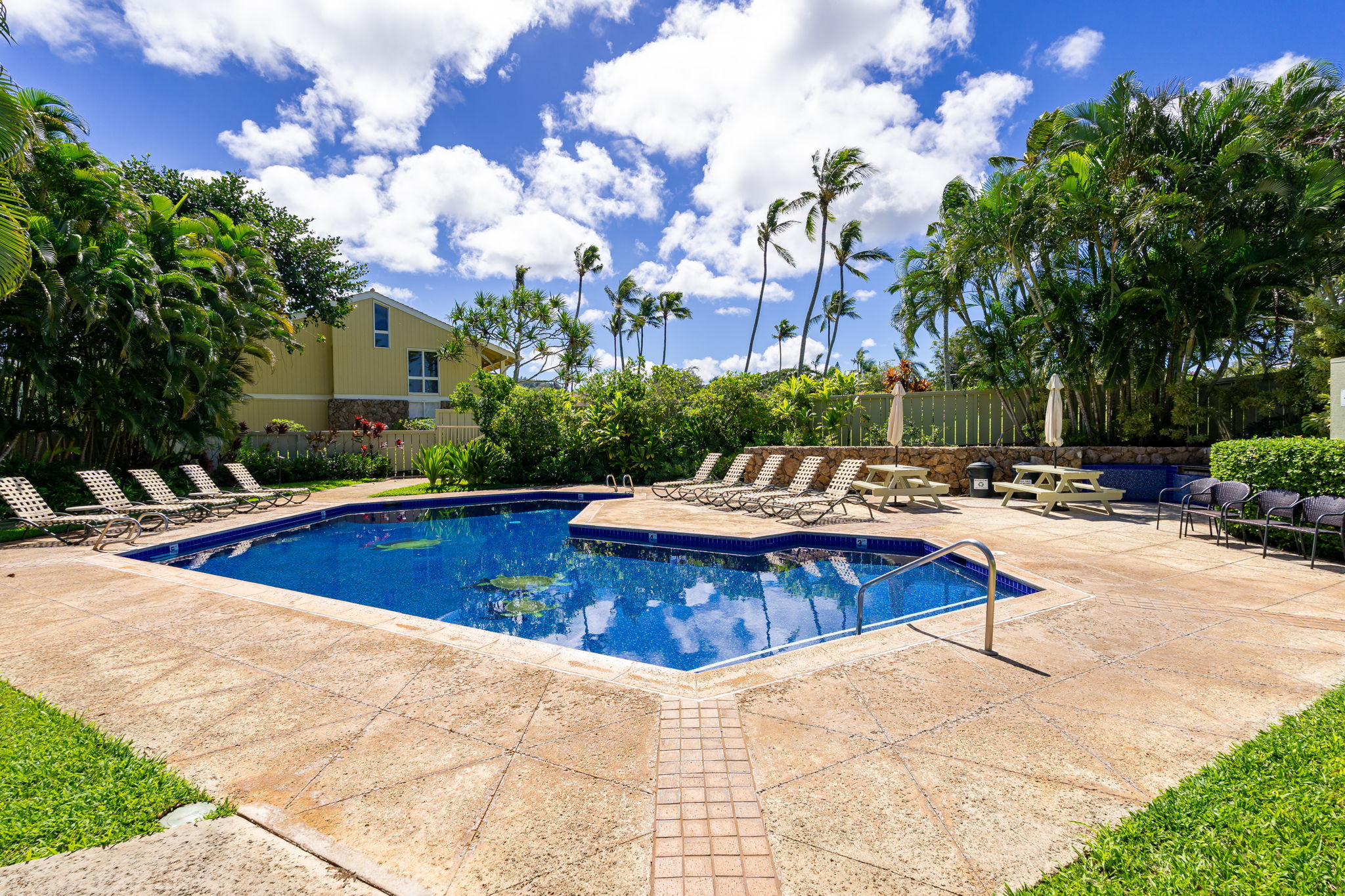 Pool at turtle bay oahu