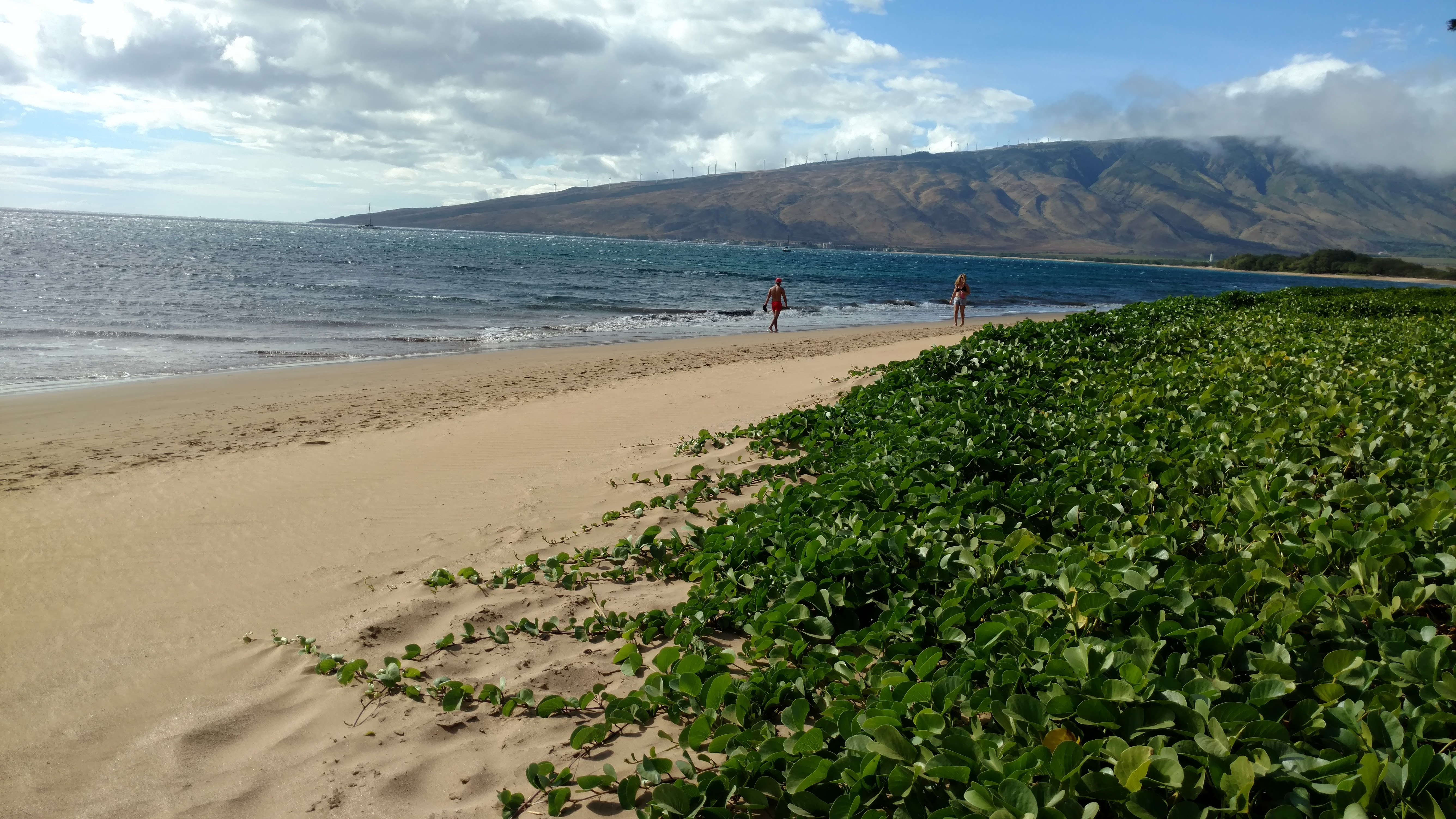 Sugar Beach- Kihei Maui