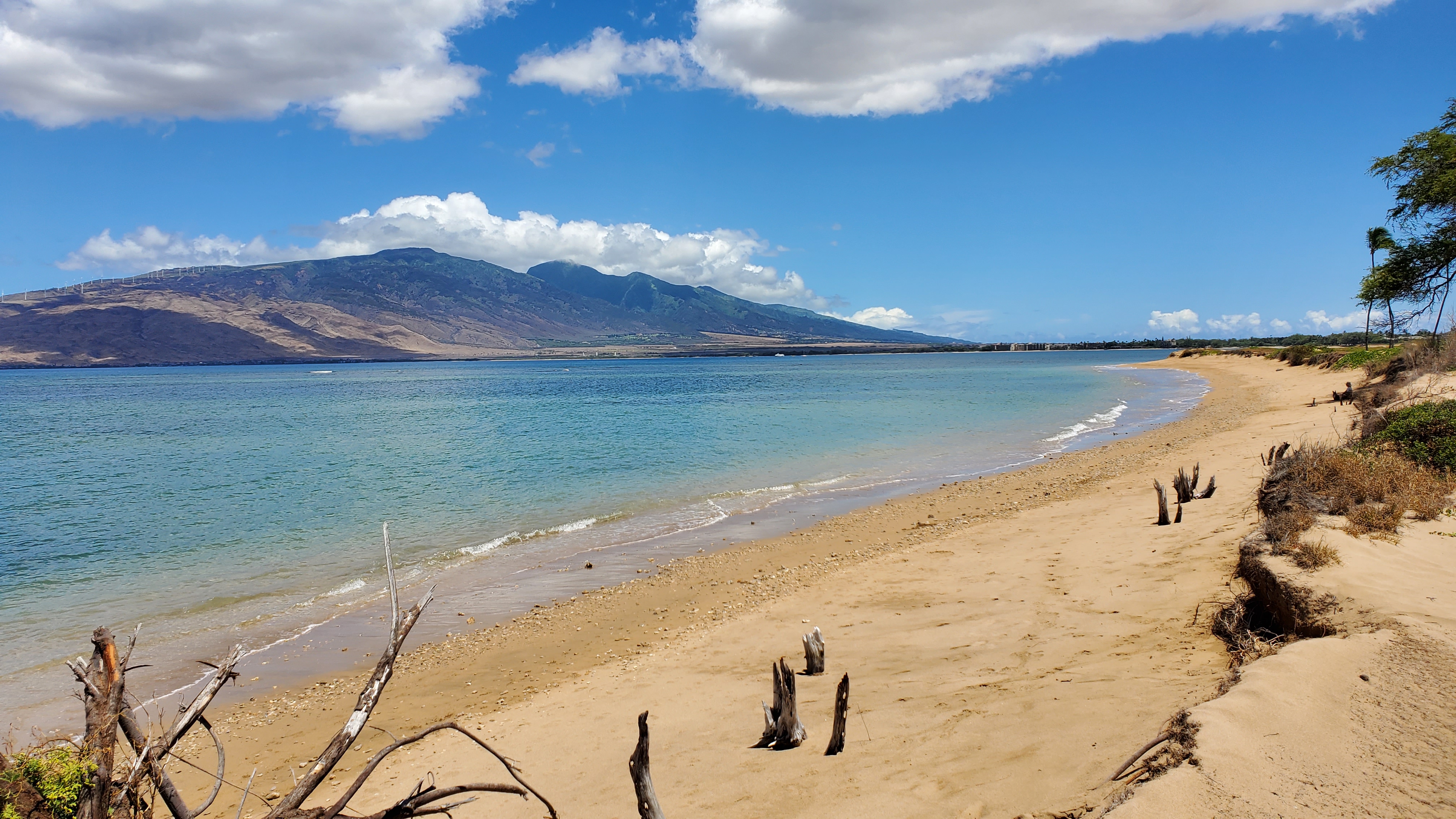 Sugar Beach- Kihei Maui