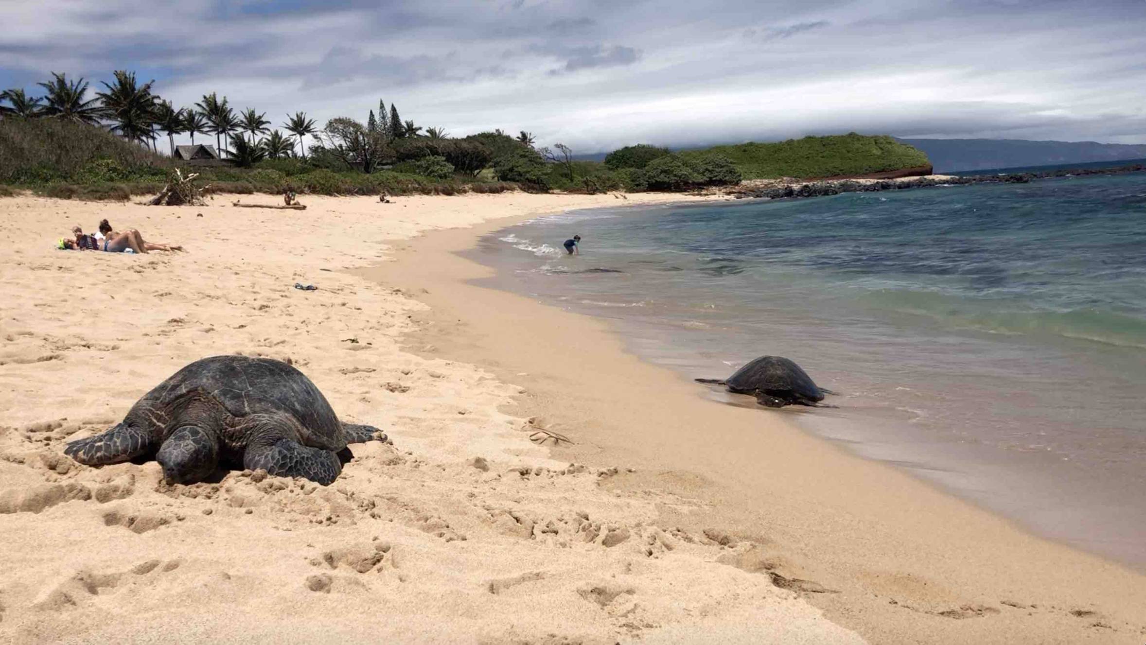 Tavares Beach
