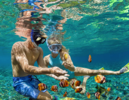 Best Snorkeling Kauai, Haena Vacation Rentals, Haena Kauai, Poipu Luxury Vacations, Hawaii Beachfront Rentals, Kauai Snorkeling Tours