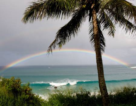 Top 5 North Shore Beaches: Oahu