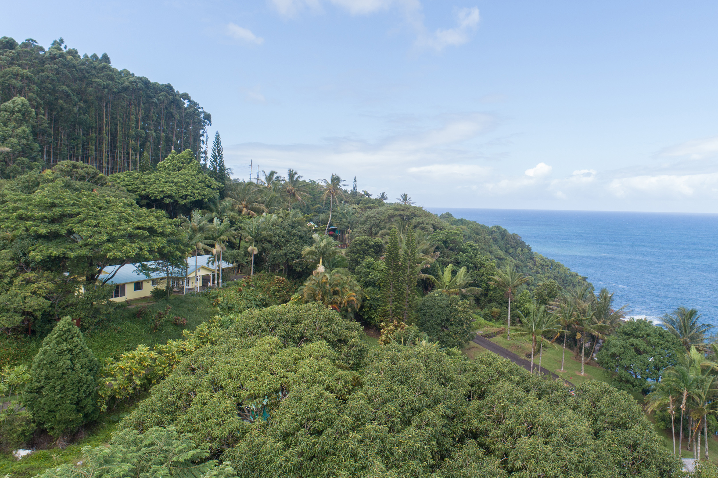Hawaii Vacation Rental Home, Big island ocean view rental