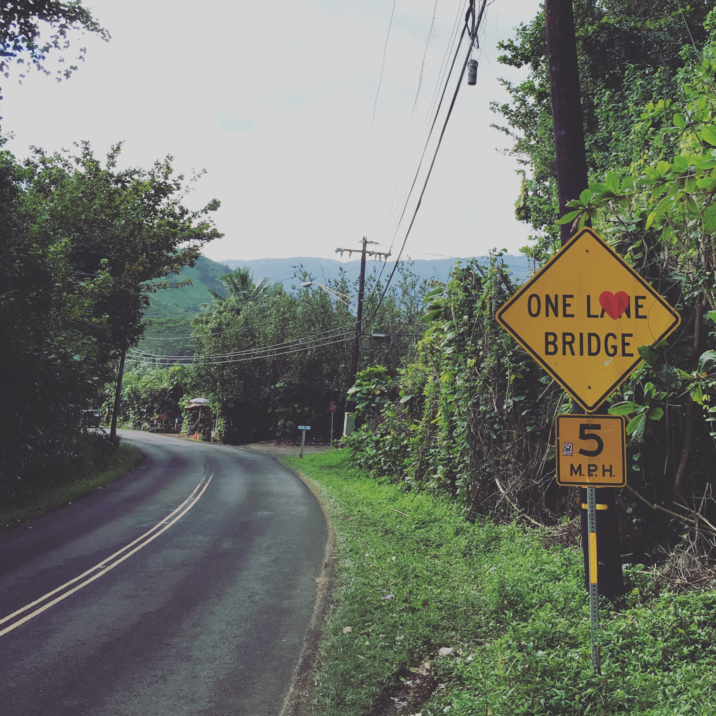 One 'love' bridge