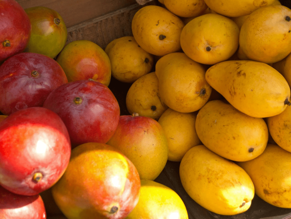 types of mangoes in hawaii