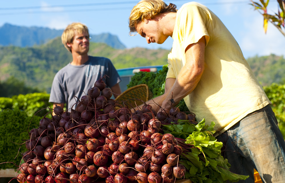 Bunches of beets