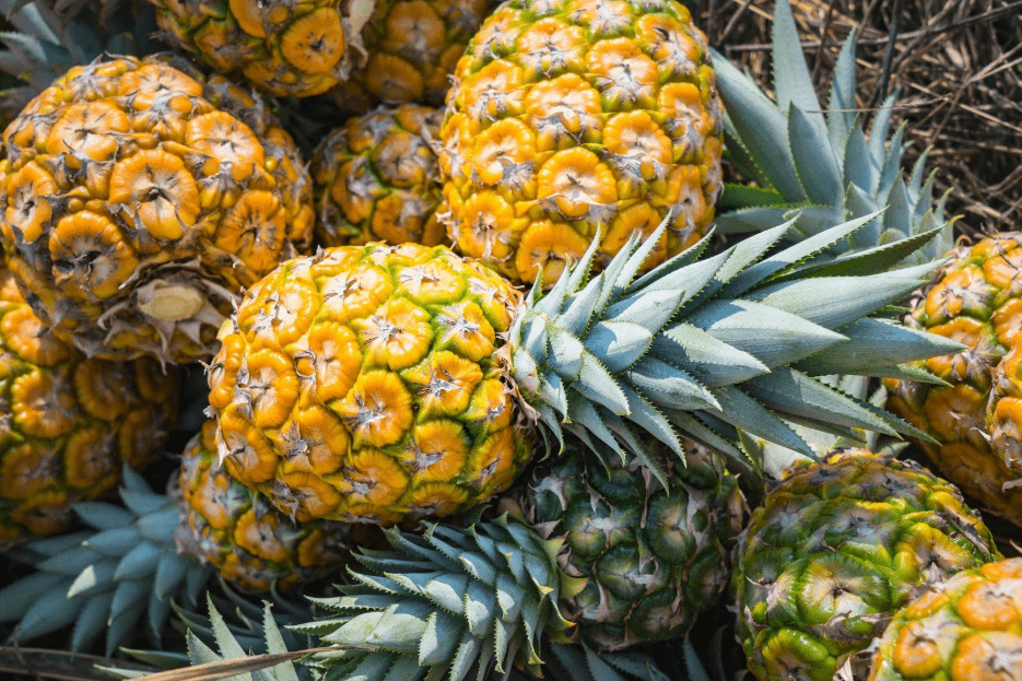 fresh hawaiian pineapples