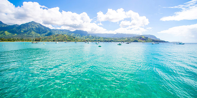 Hanalei Boats