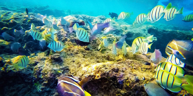 hanauma bay