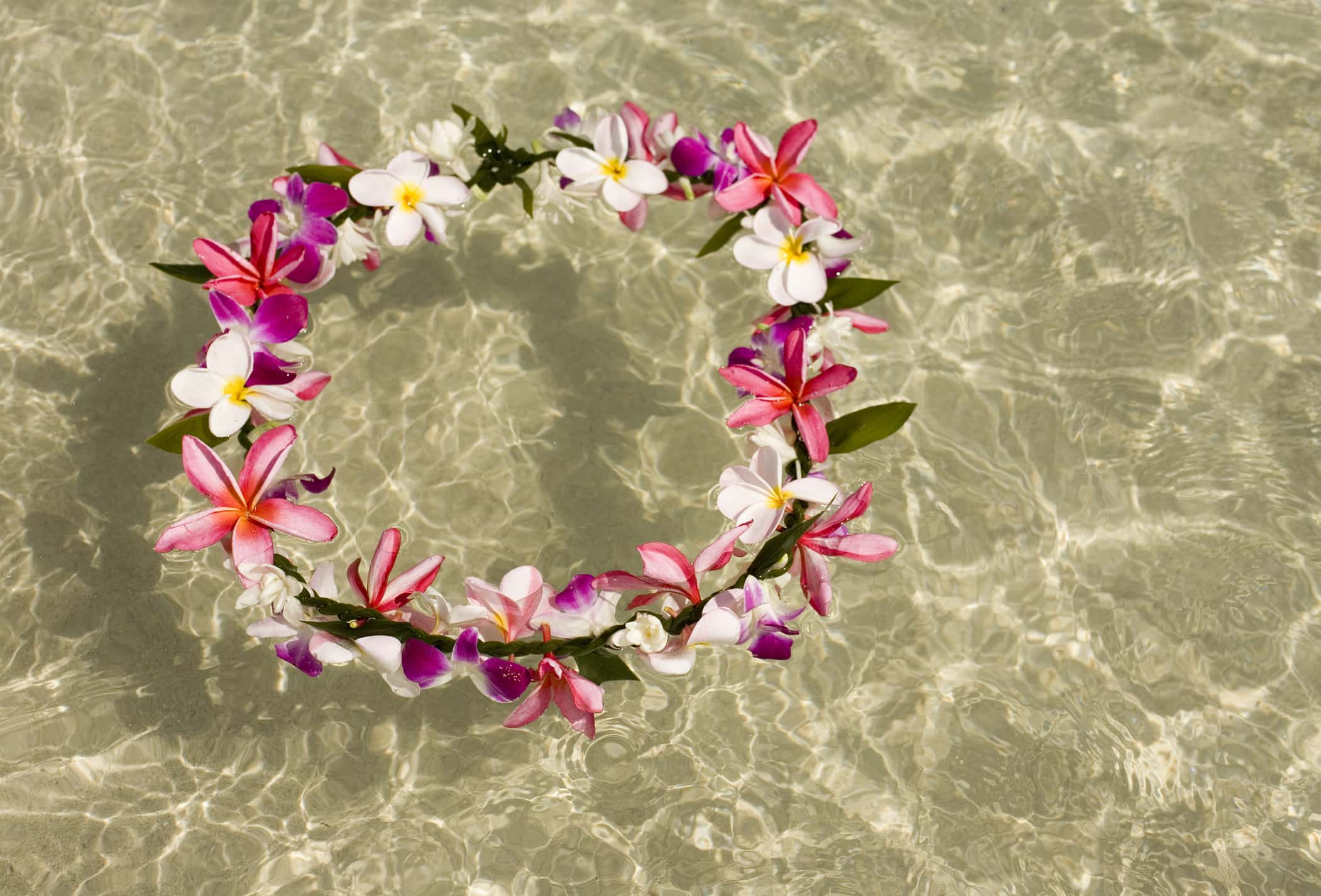 hawaiian lei floating in the ocean