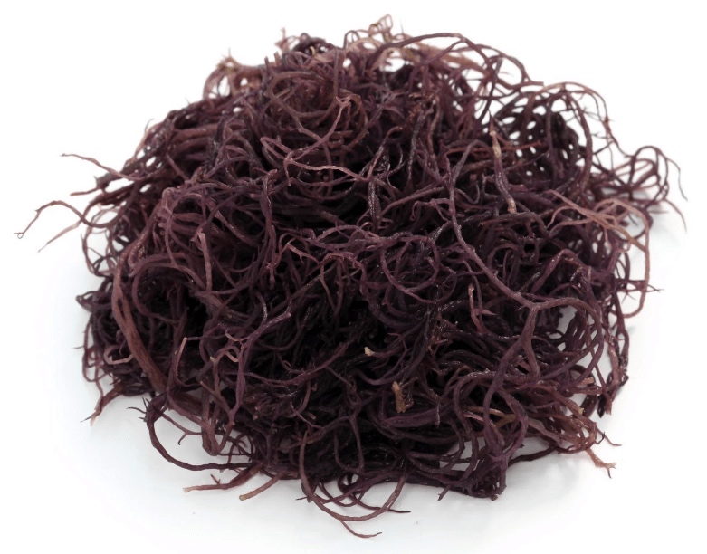 hawaiian seaweed limu