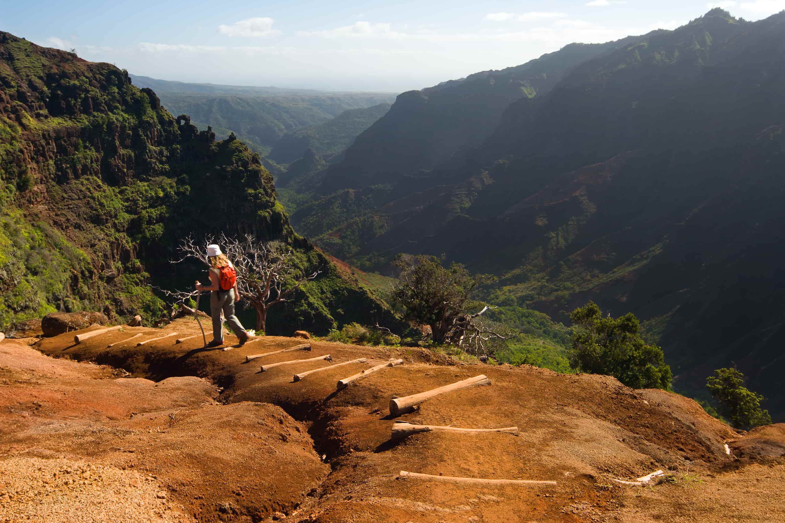 hiking trail in maui