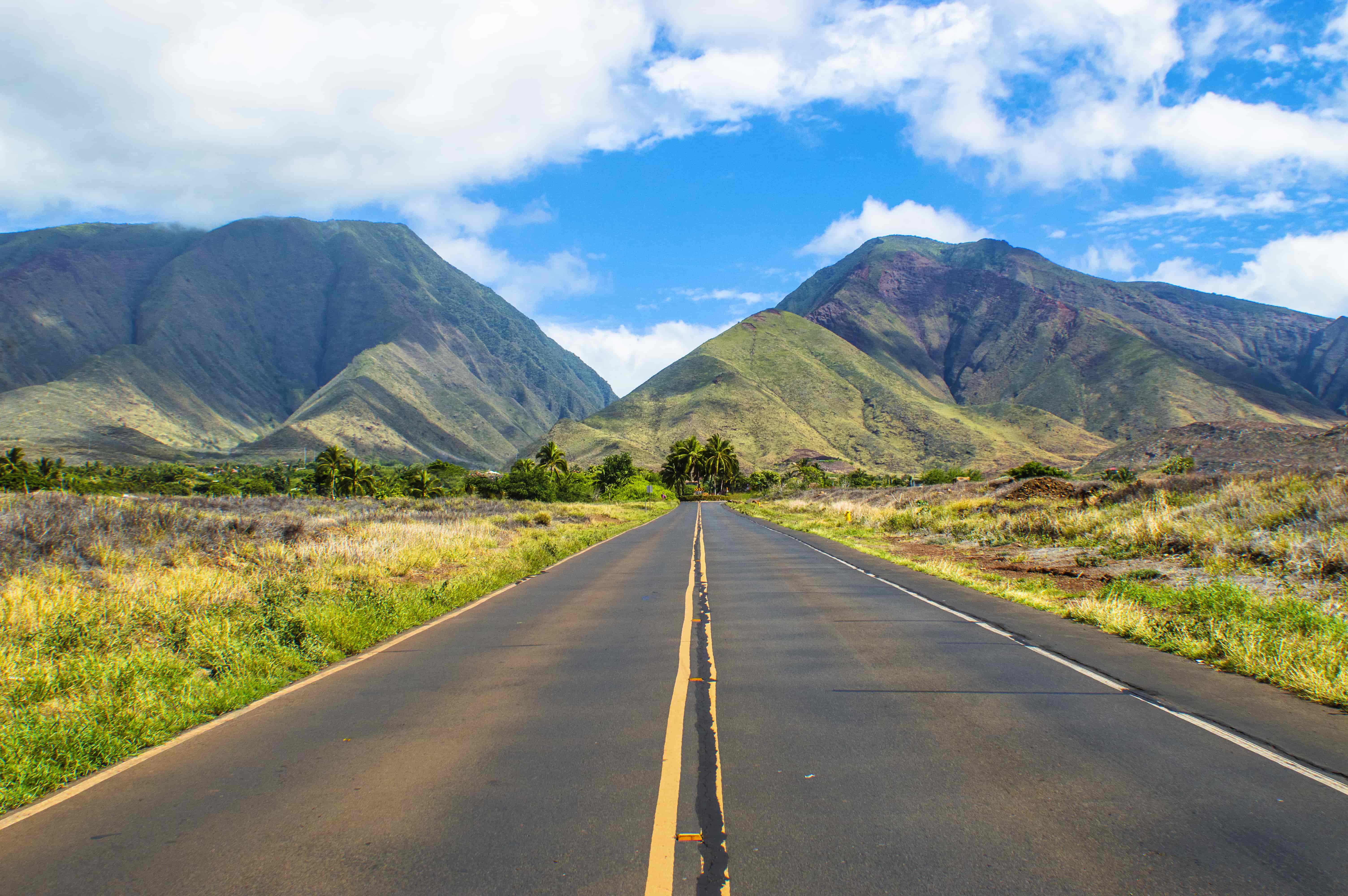 hawaii road