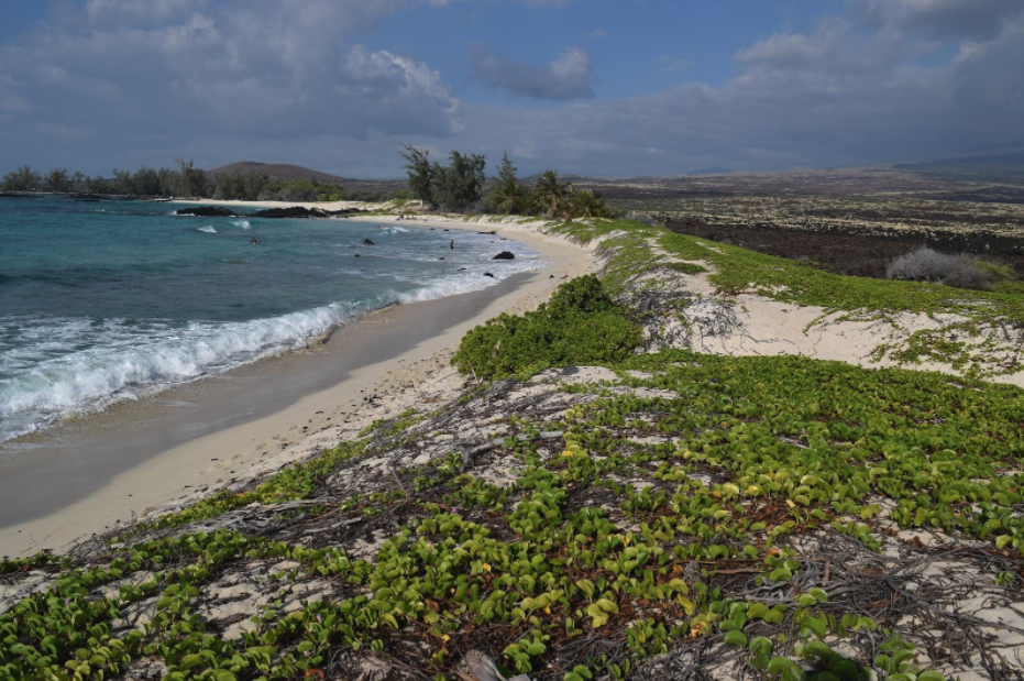 Ho'okena Beach Park