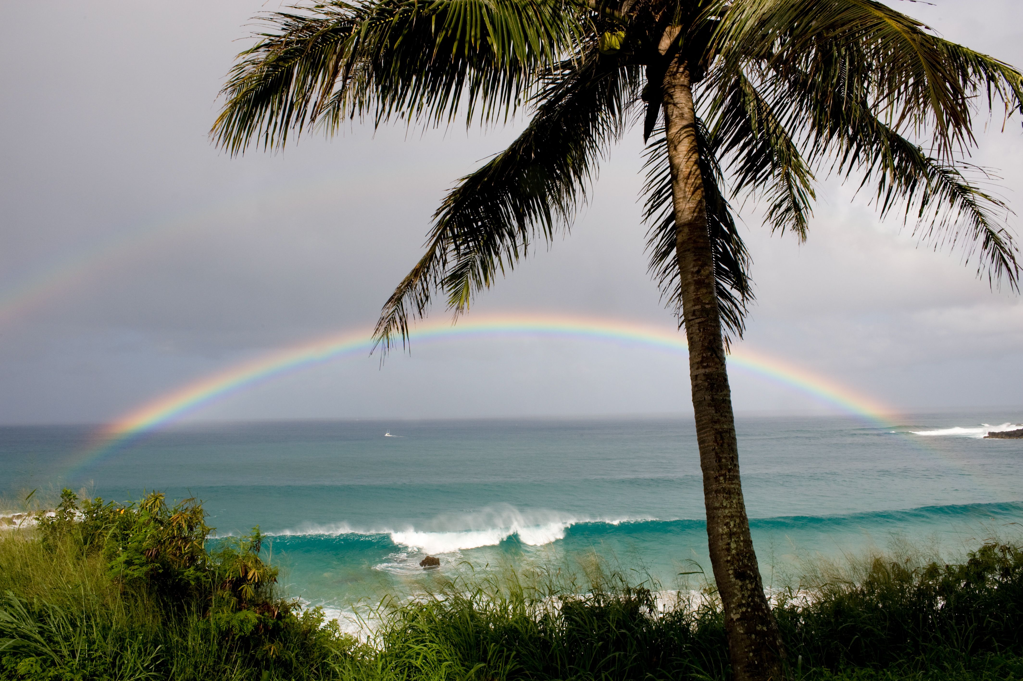 Top 5 North Shore Beaches: Oahu | Hawaii Life Vacations 