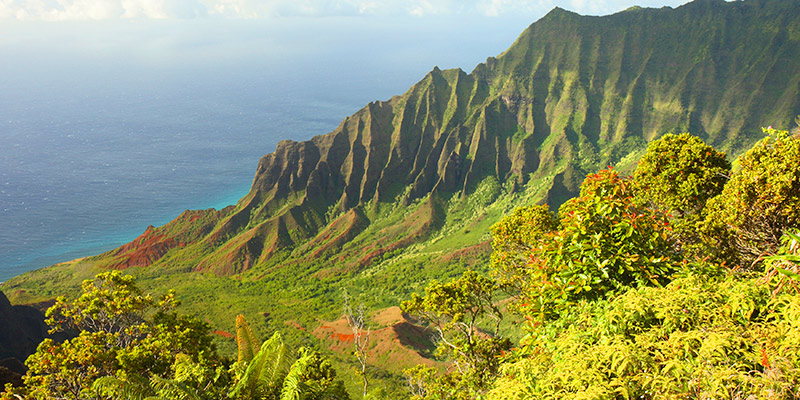 Kalalau Lookout