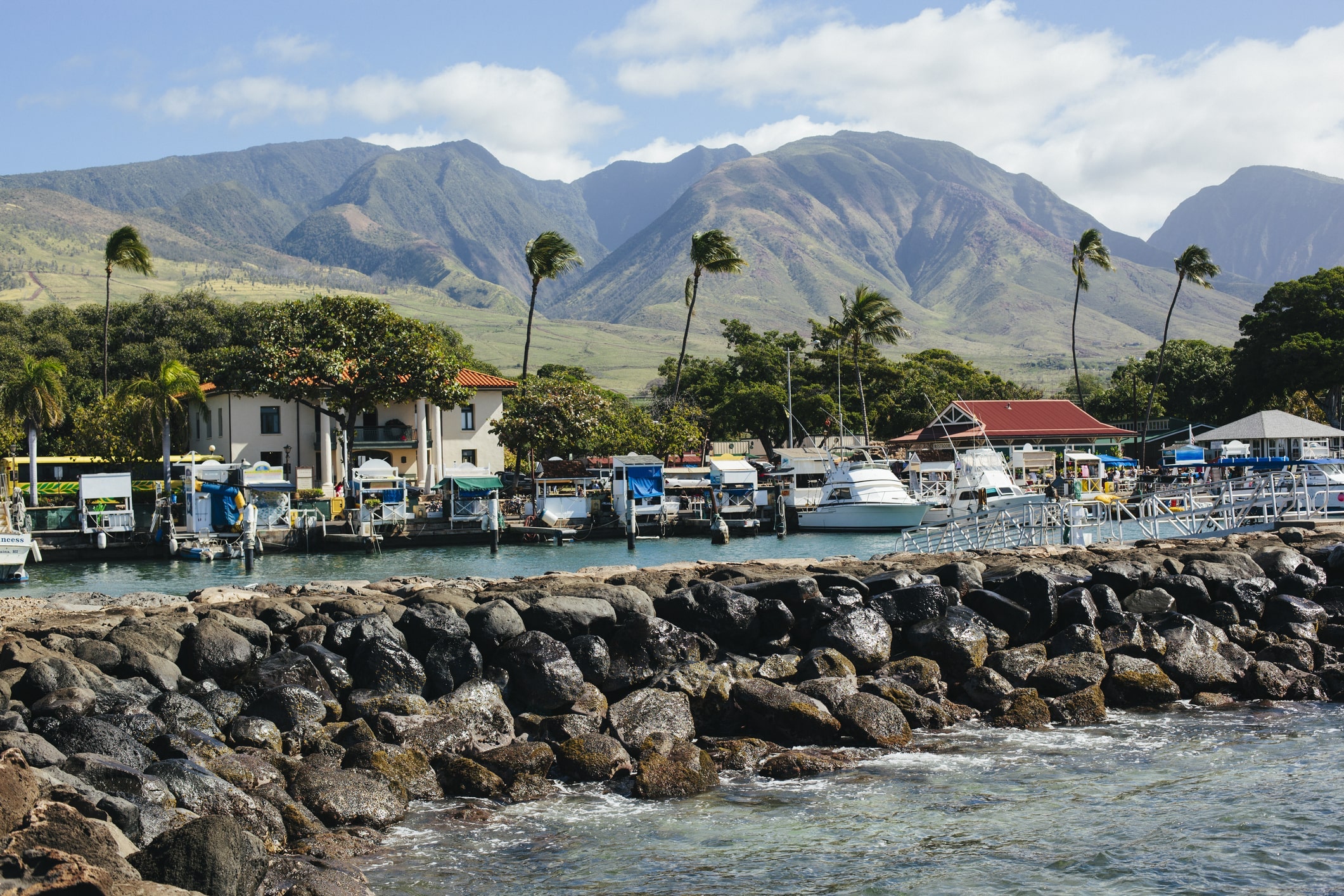 Lahaina Harbor Maui