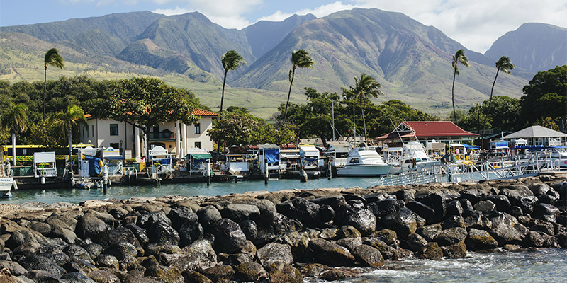 Lahaina Harbor and Mountains