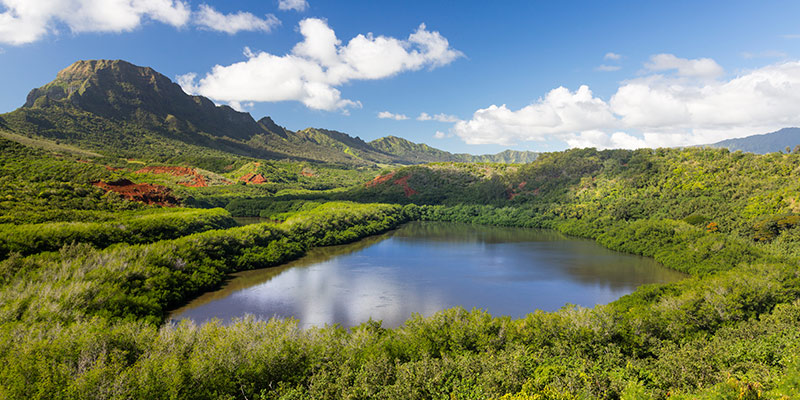 Menehune Fishpond