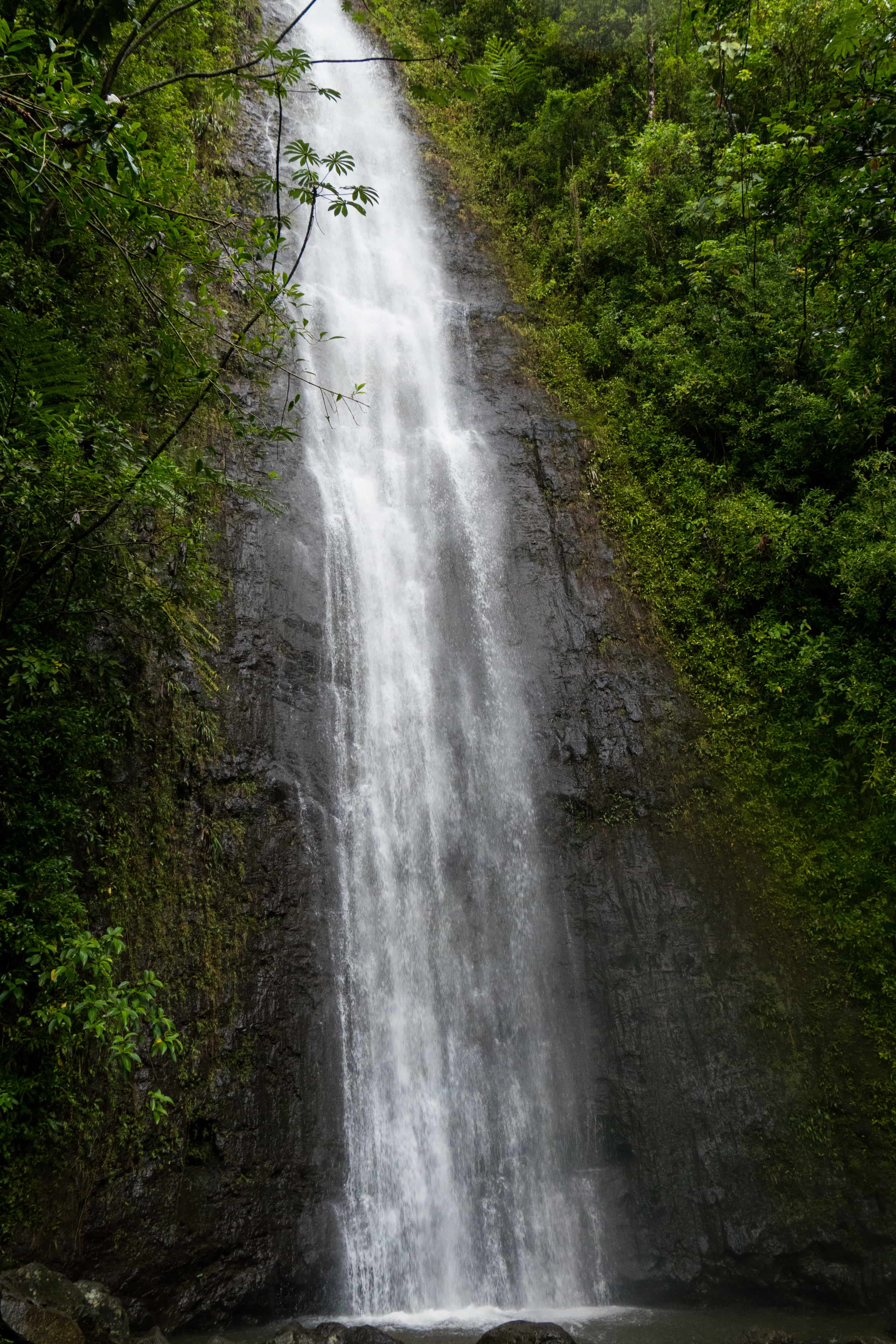 manoa waterfall