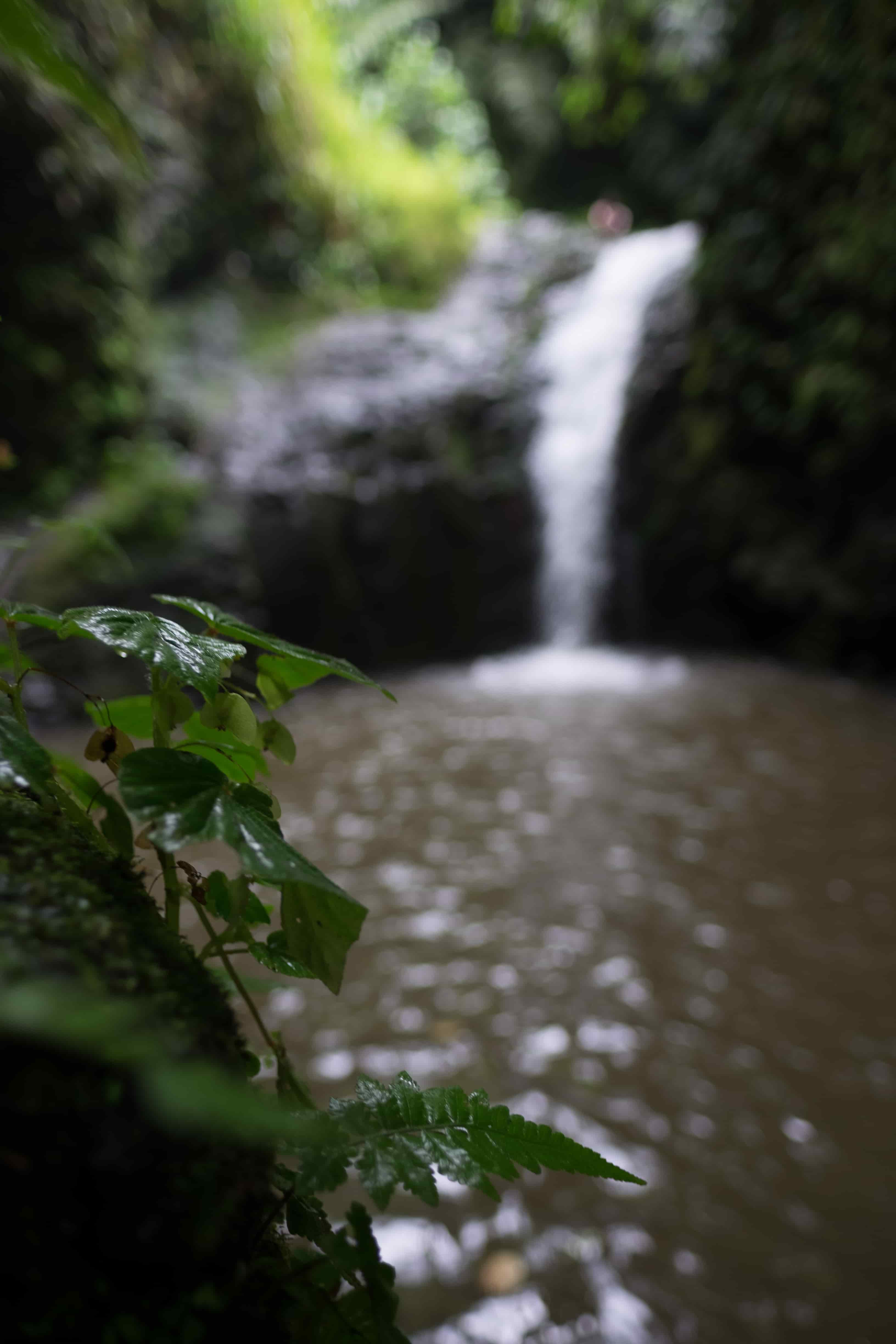 maunawili falls