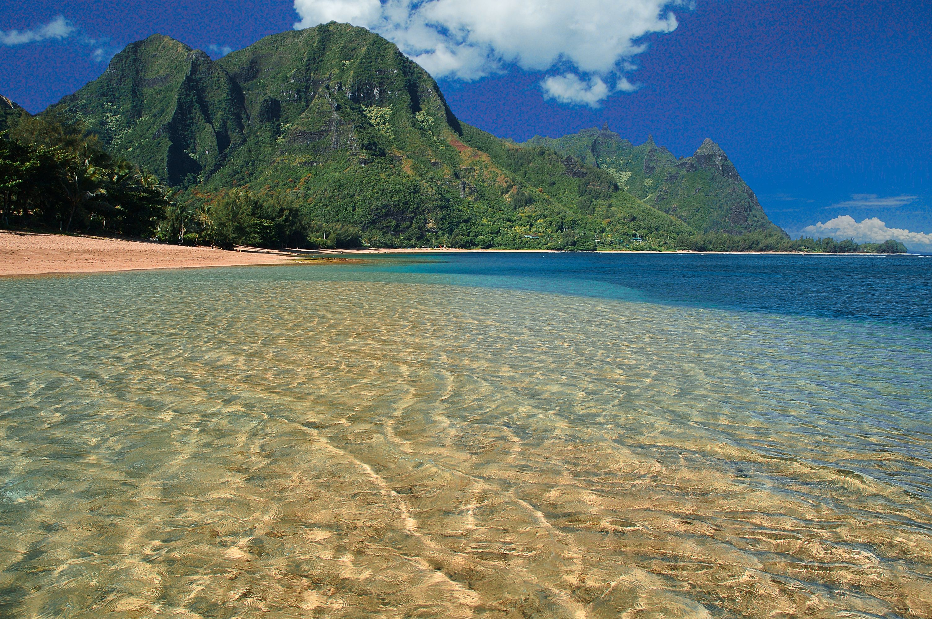 Discover the Best Beaches for Snorkeling in Kauai