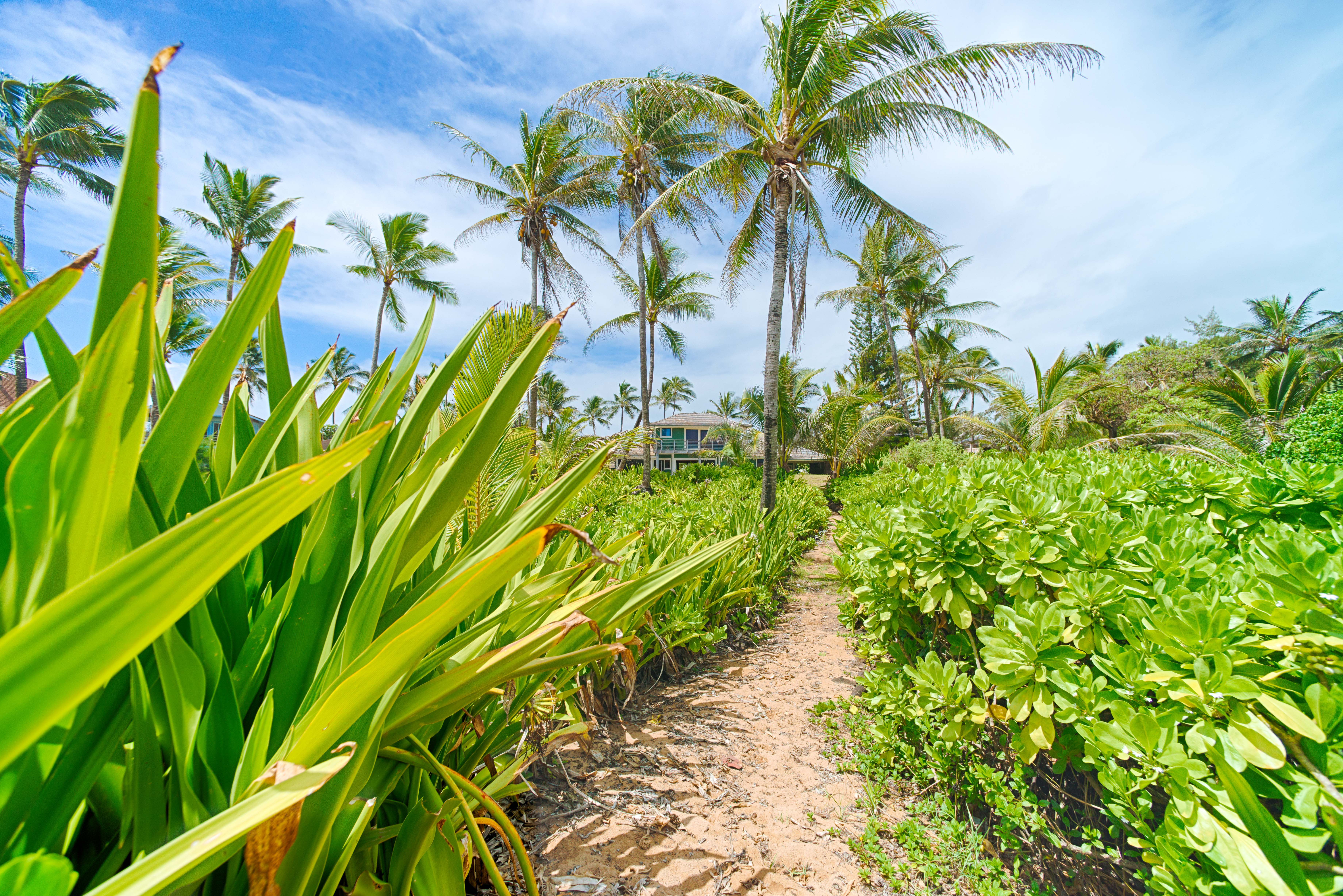  Anahola beach vacation rental