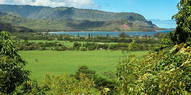 Princeville overlook