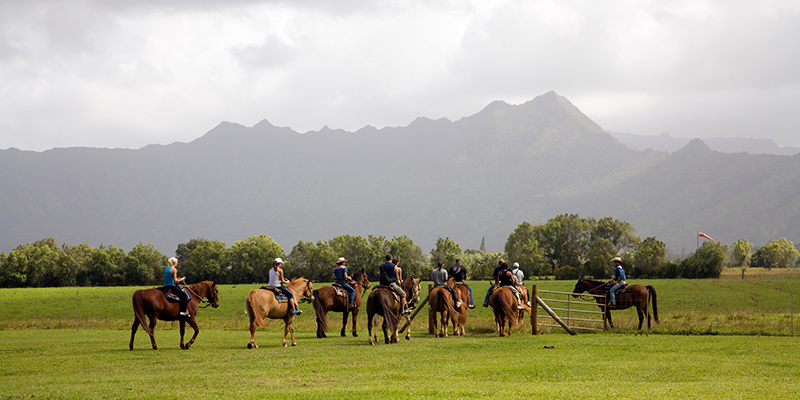 Princeville Horseback Riding