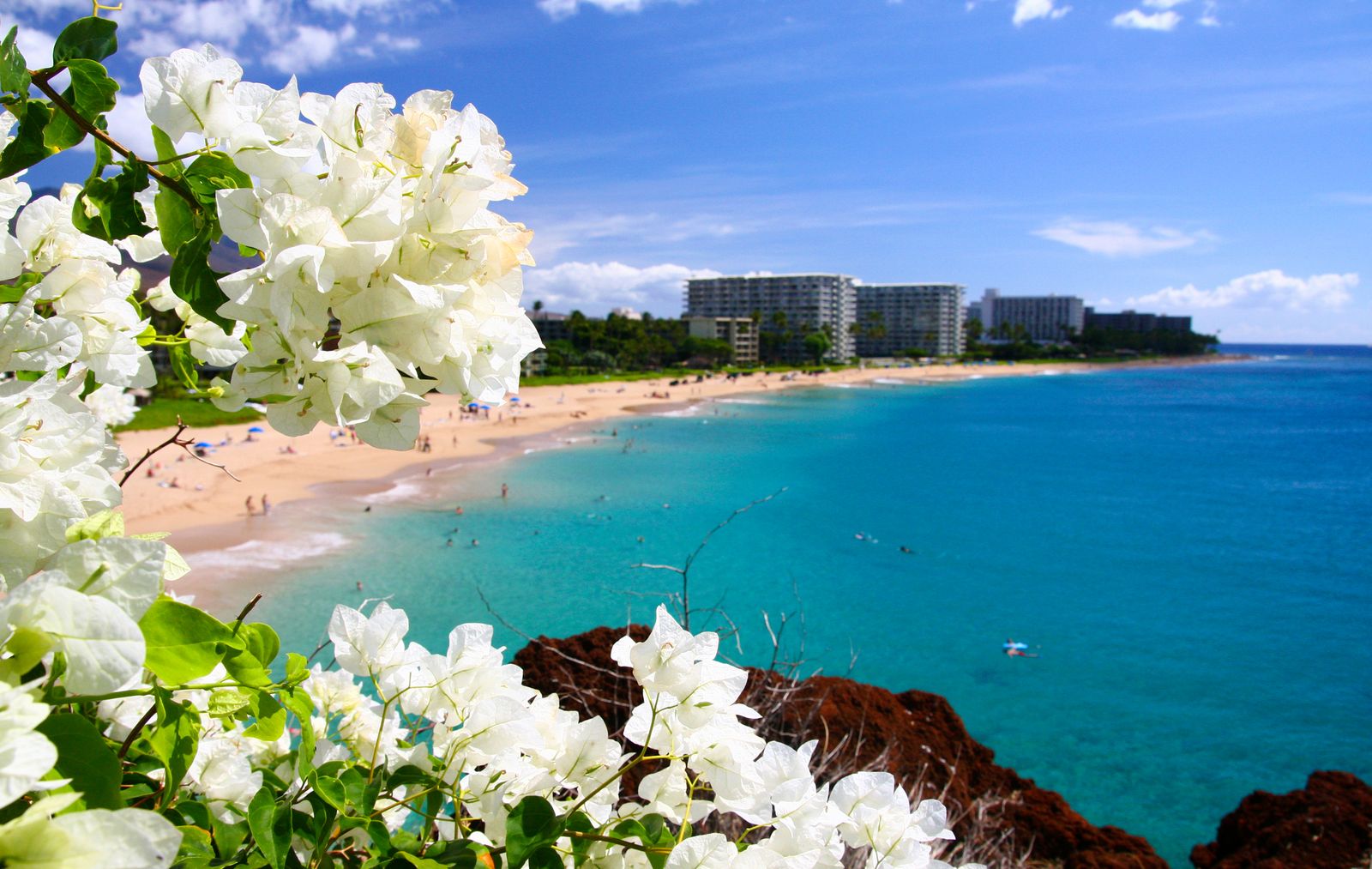 Hawaii Travel Q&A Everything you need to know, and more! Hawaii Life