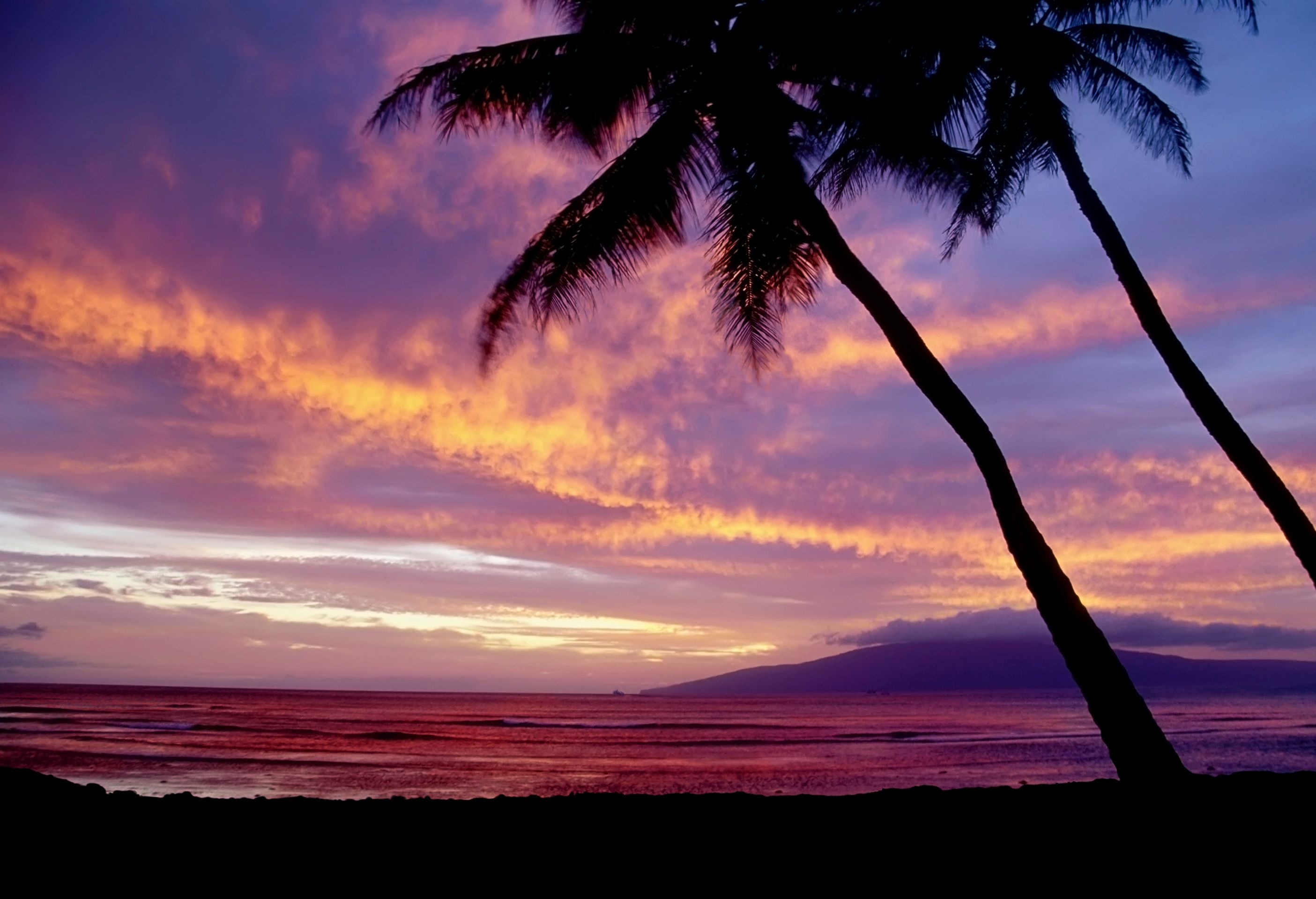Hawaii Vacation Rental Home, Best honeymoon spot, hawaii vacation for couples, best hawaii vacation rental