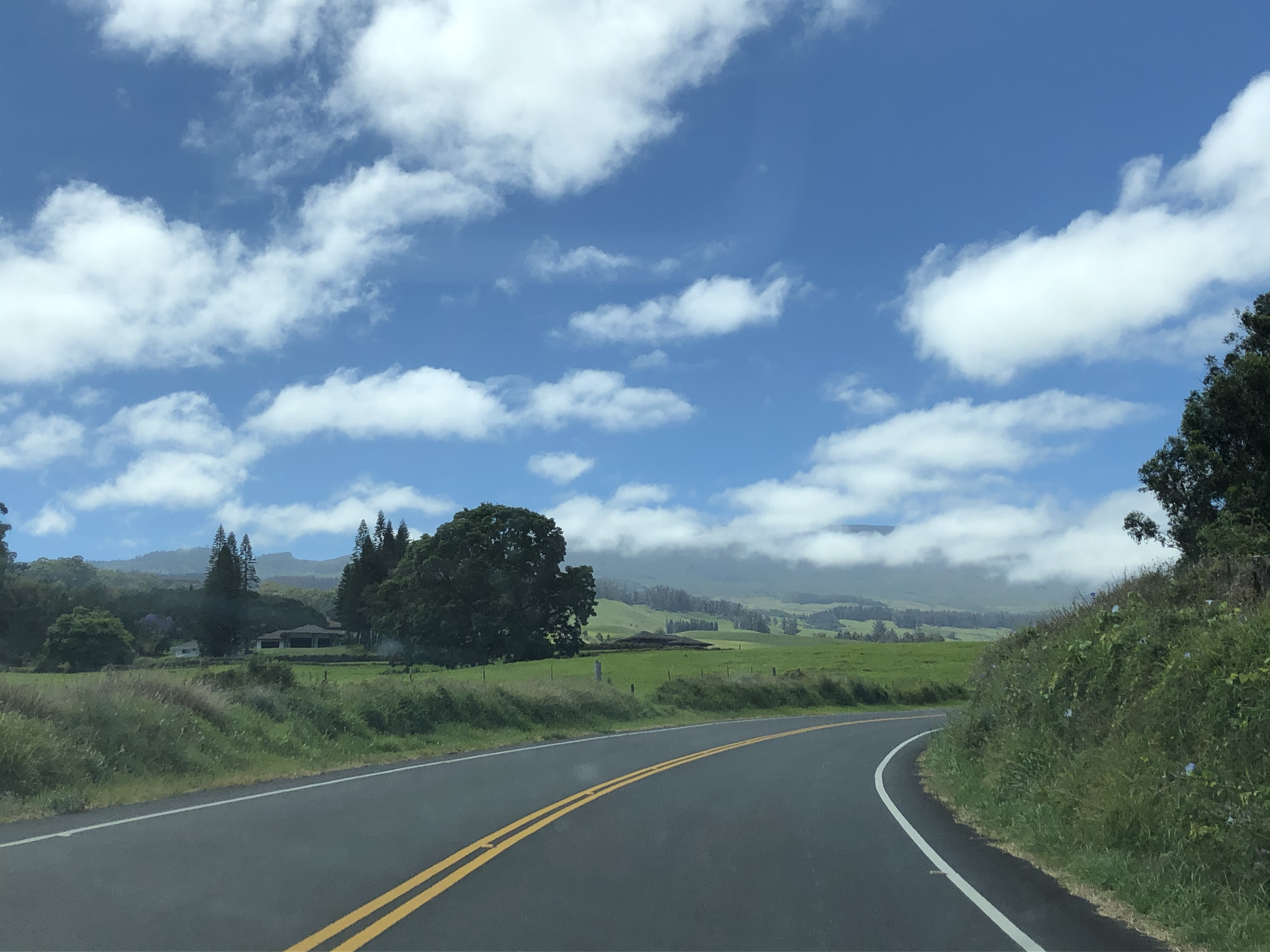 Rolling hills Upcountry