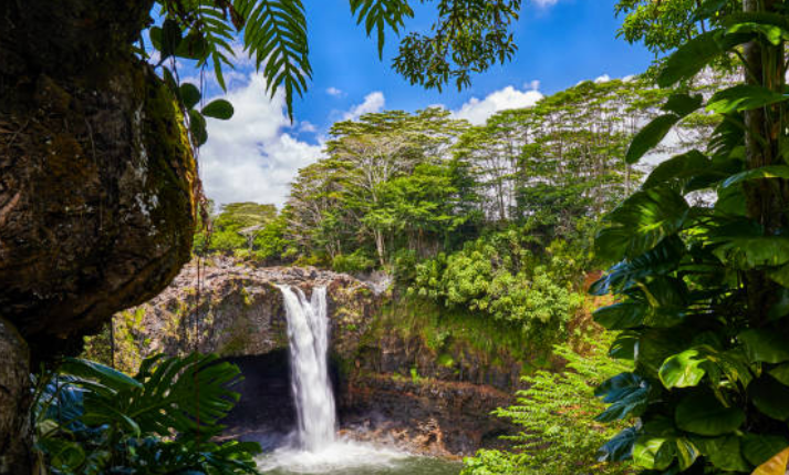 big island waterfall, rainbow falls, hilo hawaii