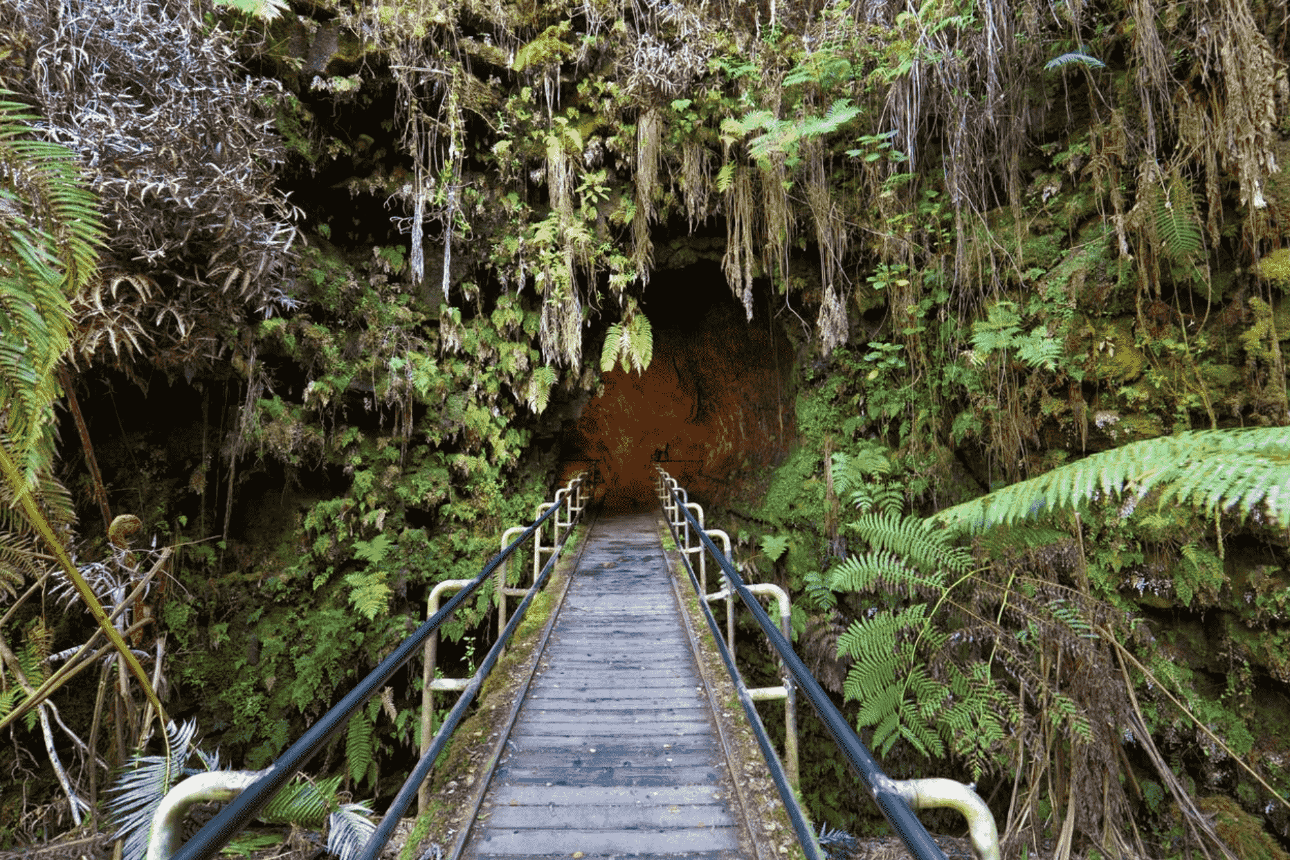 thurston lava tube hawaii